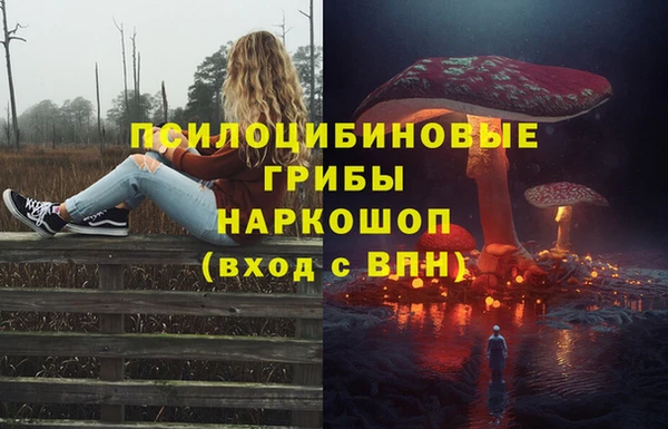стафф Краснотурьинск