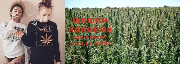 стафф Краснотурьинск